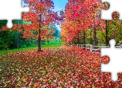 Park, Drzewa, Jesień, Opadłe, Liście, Ogrodzenie