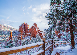 Zima, Góry, Drzewo, Sosna, Ogrodzenie, Garden of the Gods, Kolorado, Stany Zjednoczone