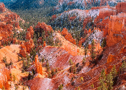 Skały, Park Narodowy Bryce Canyon, Stan Utah, Stany Zjednoczone