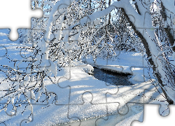 Zima, Śnieg, Ośnieżone, Drzewa, Gałęzie, Strumień, Słoneczny, Dzień