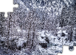 Zima, Ośnieżone, Drzewa, Kamienie, Strumyk