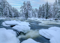 Rzeka, Zima, Śnieg, Ośnieżone, Drzewa