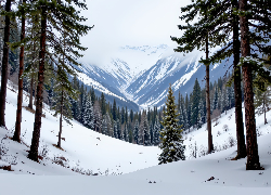 Zima, Śnieg, Ośnieżone, Góry, Drzewa