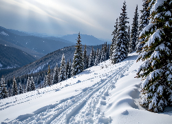 Zima, Zbocze, Drzewa, Góry, Grafika AI