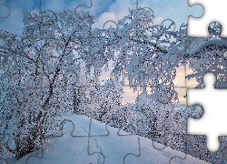 Zima, Ośnieżone, Drzewa, Ślady, Pagórek