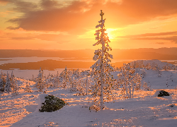Rosja, Półwysep Kolski, Zima, Ośnieżone, Drzewa, Zachód słońca, Kamienie