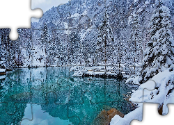 Zima, Ośnieżone, Drzewa, Jezioro, Blausee, Szwajcaria