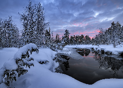 Rosja, Półwysep Kolski, Jezioro, Zima, Drzewa, Ośnieżone
