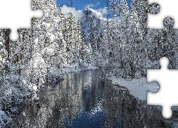 Zima, Drzewa, Rzeka, Merced River, Park Narodowy Yosemite, Kalifornia, Stany Zjednoczone