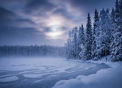 Zima, Jezioro, Drzewa, Mgła, Księżyc