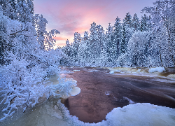 Zima, Rzeka, Drzewa, Roślinność