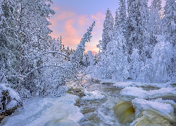 Zima, Rzeka, Ośnieżone, Drzewa, Roślinność