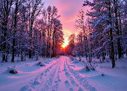 Zima, Droga, Drzewa, Las, Zachód słońca, Grafika AI
