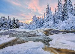 Zima, Oblodzona, Rzeka, Ośnieżone, Drzewa, Krzewy