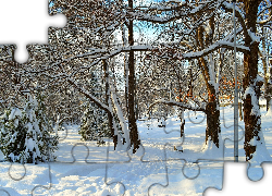 Zima, Śnieg, Park, Ośnieżone, Drzewa
