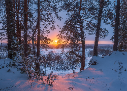Zima, Śnieg, Słońce, Drzewa, Zachód słońca