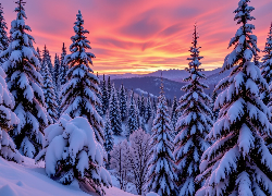 Zima, Zachód słońca, Kolorowe, Niebo, Ośnieżone, Drzewa, Góry