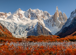 Argentyna, Patagonia, Park Narodowy Los Glaciares, El Chalten, Góry, Cerro Torre, Ośnieżone, Jesień, Roślinność
