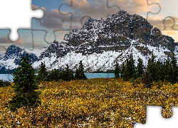 Góry, Chmury, Jezioro, Bow Lake, Polana, Drzewa, Świerki, Prowincja, Alberta, Park Narodowy Banff, Kanada