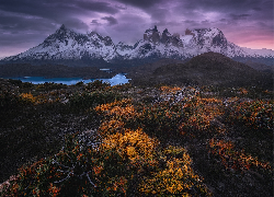 Chile, Patagonia, Park Narodowy Torres del Paine, Góry, Jesień, Roślinność