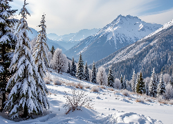 Zima, Drzewa, Stok, Góry, Grafika AI