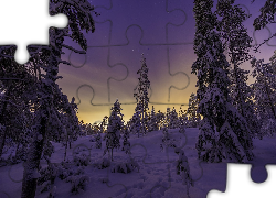 Zima, Drzewa, Śnieg, Noc