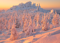 Zima, Drzewa, Świerki, Ośnieżone, Zaspy, Wschód słońca, Góry, Ural, Rosja
