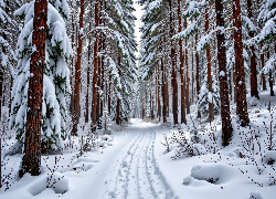 Zima, Ośnieżone, Drzewa, Droga, Las, Grafika AI