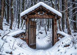 Zima, Śnieg, Las, Drzewa, Zadaszenie, Brama, Drzwi, AI