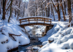 Zima, Las, Drzewa, Rzeka, Ośnieżony, Drewniany, Most