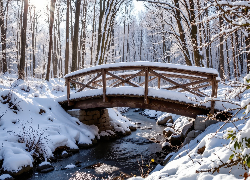 Zima, Drzewa, Las, Rzeka, Ośnieżony, Drewniany, Most, Śnieg