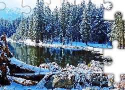 Jezioro, Śnieg, Drzewa, Las, Góry, Kłody, Zima, Tioga Lake, Park Narodowy Yosemite, Kalifornia, Stany Zjednoczone