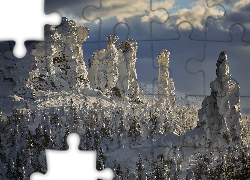 Zima, Góry, Drzewa, Świerki, Chmury, Śnieg