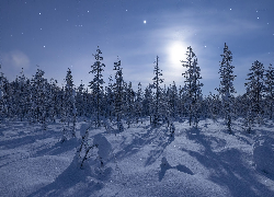 Zima, Noc, Las, Księżyc, Gwiazdy, Śnieg, Drzewa