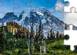 Góry, Ośnieżone, Szczyty, Uschnięte, Drzewa