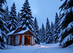 Zima, Dom, Droga, Drzewa, Las, Grafika AI