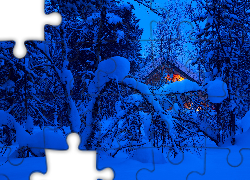 Zima, Ośnieżone, Drzewa, Dom, Zmrok