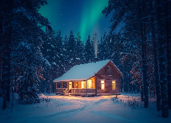 Zima, Dom, Drzewa, Las, Zorza polarna