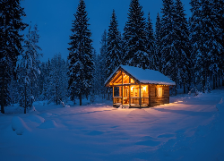 Zima, Drewniany, Oświetlony, Dom, Drzewa