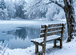 Zima, Las, Oszronione, Drzewa, Ławka, Staw, Śnieg, Grafika AI