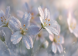 Rogownica polna, Szron, Kwiaty, Grafika AI