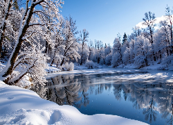 Zima, Śnieg, Oszronione, Drzewa, Jezioro