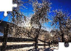 Zima, Płot, Oszronione, Drzewa