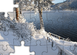 Zima, Śnieg, Drzewa, Szron, Pogodny dzień, Jezioro, Canim Lake, Kolumbia Brytyjska, Kanada