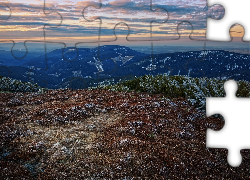 Poranek, Góry, Krzewy, Oszronione, Iglaki