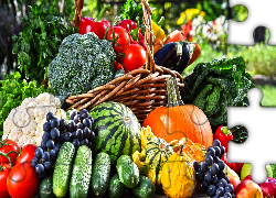 Warzywa, Owoce, Ogórki, Dynia, Pomidory, Brokuł, Kalafior, Winogrono, Kosz