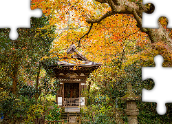 Park, Drzewa, Świątynia, Pagoda, Jesień