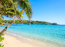 Tropiki, Plaża, Palmy, Morze