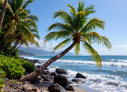 Palmy, Plaża, Kamienie, Morze, Grafika AI