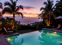 Basen, Palmy, Leżaki, Zmierzch